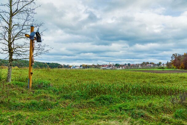 Thumbnail: 17_JA14360 Schaffler.jpg